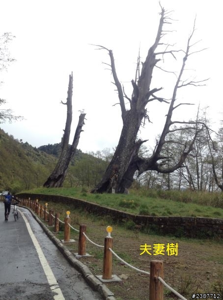 臺灣縱騎-中橫支線+中橫+合歡山+武嶺+新中橫+阿里山