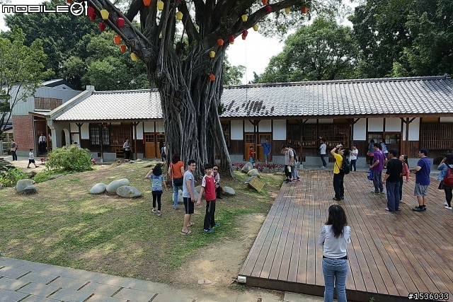 Luxgen把沙八導航到枇杷園產業道路