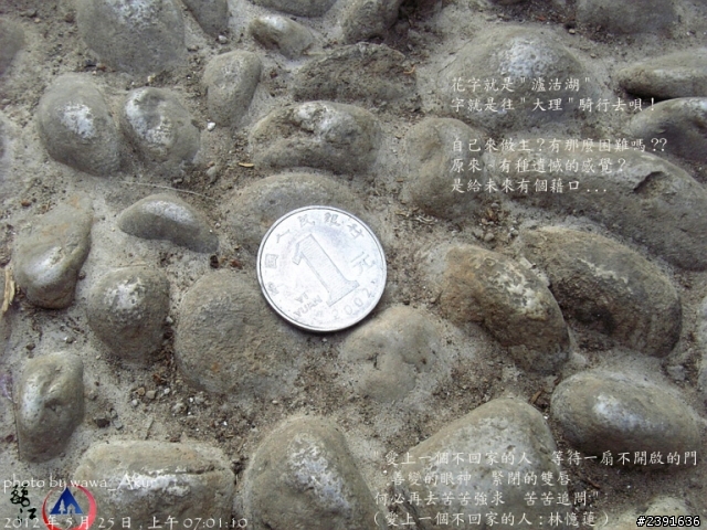 2014 心中的日月~香巴拉