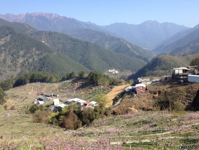 臺灣縱騎-中橫支線+中橫+合歡山+武嶺+新中橫+阿里山