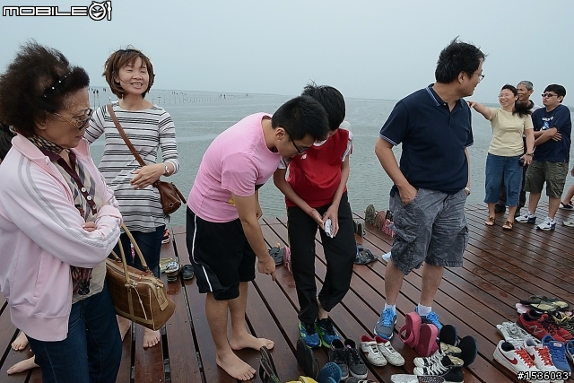 高美濕地半日遊