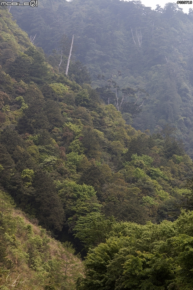 神秘客山路大蒐集--台灣8字型山線環島五日遊