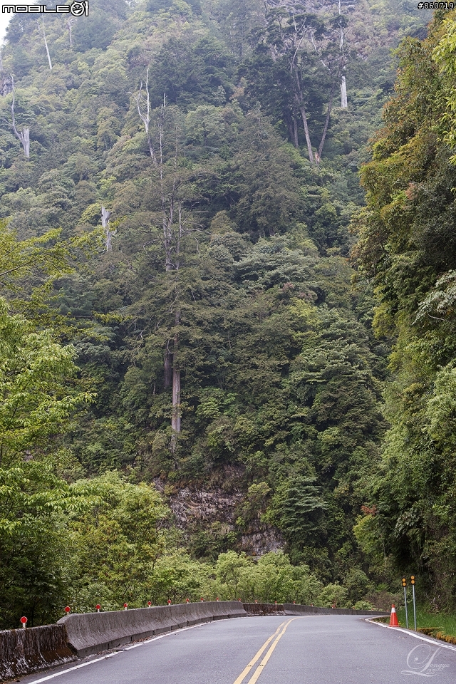 神秘客山路大蒐集--台灣8字型山線環島五日遊