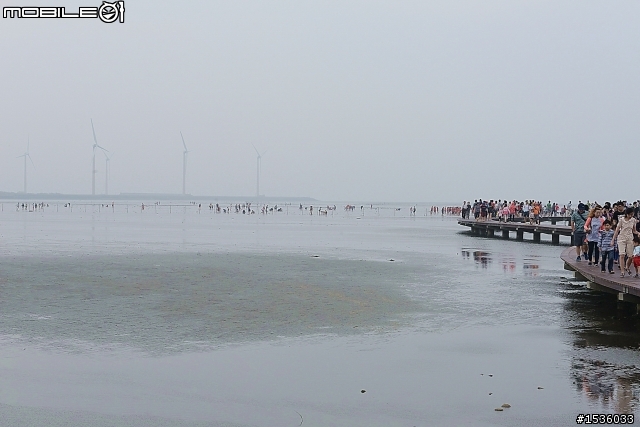 高美濕地半日遊