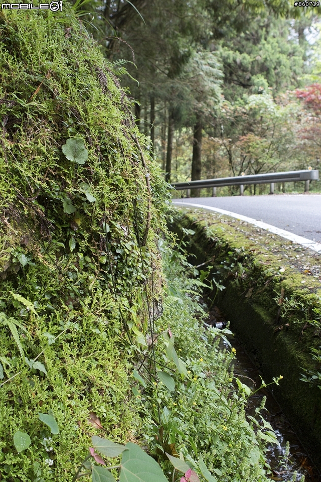 神秘客山路大蒐集--台灣8字型山線環島五日遊