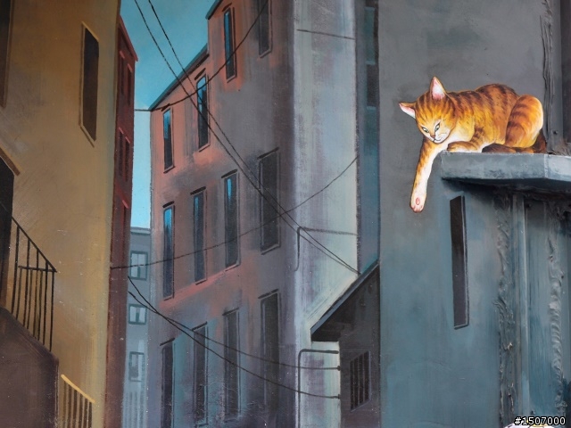 狼‧貓‧粿 的邂逅。