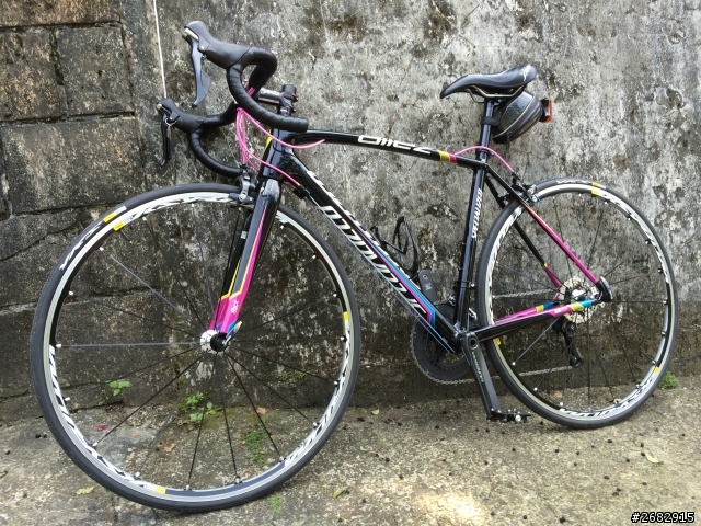 Specialized allez E5彩虹版 開箱囉
