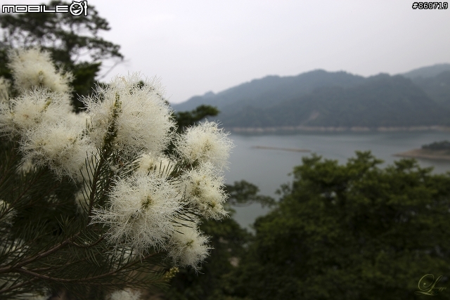 神秘客山路大蒐集--台灣8字型山線環島五日遊