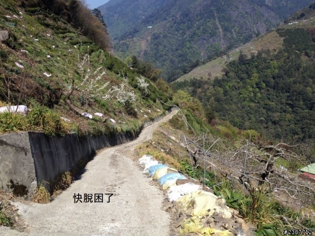 臺灣縱騎-中橫支線+中橫+合歡山+武嶺+新中橫+阿里山