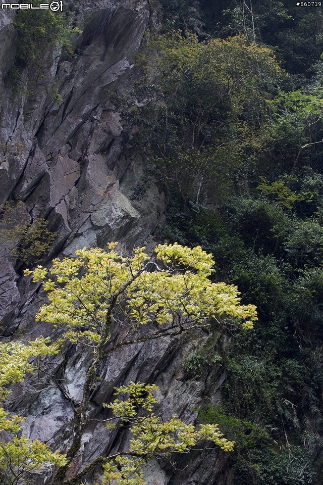 神秘客山路大蒐集--台灣8字型山線環島五日遊
