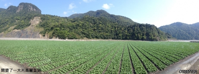 臺灣縱騎-中橫支線+中橫+合歡山+武嶺+新中橫+阿里山