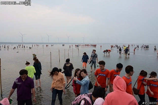 高美濕地半日遊
