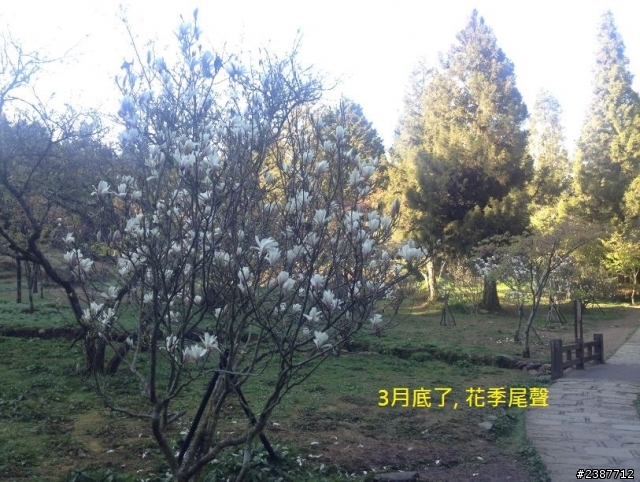 臺灣縱騎-中橫支線+中橫+合歡山+武嶺+新中橫+阿里山