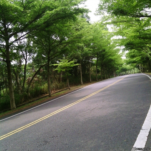 『路線分享』怕曬的淑女之花壇虎山巖+139縣道。