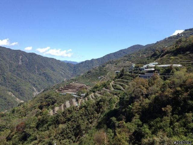 臺灣縱騎-中橫支線+中橫+合歡山+武嶺+新中橫+阿里山
