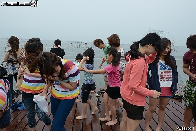 高美濕地半日遊
