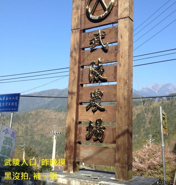 臺灣縱騎-中橫支線+中橫+合歡山+武嶺+新中橫+阿里山
