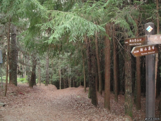 武陵三秀單日攻(桃山,詩崙山,喀拉業山,池有山,沒去品田山)
