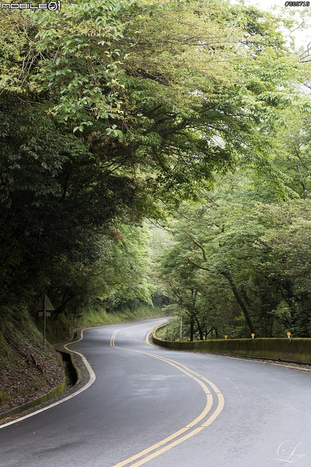 神秘客山路大蒐集--台灣8字型山線環島五日遊