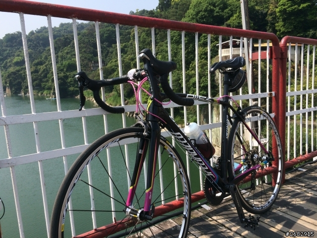 Specialized allez E5彩虹版 開箱囉