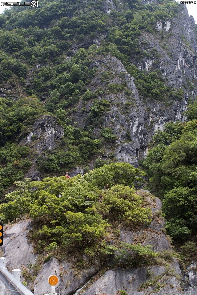 神秘客山路大蒐集--台灣8字型山線環島五日遊
