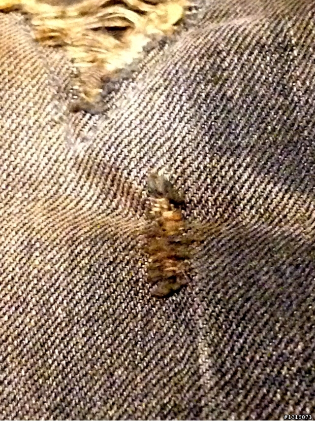 金斯大系列來襲,第一章Phoenix Immolation Antique Jeans