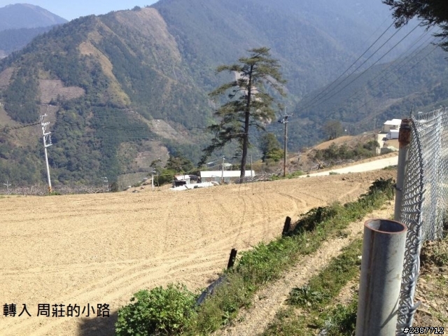 臺灣縱騎-中橫支線+中橫+合歡山+武嶺+新中橫+阿里山