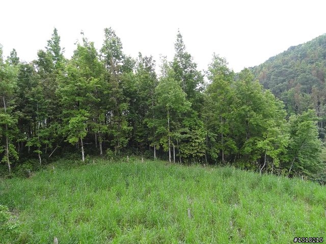 親子旅遊-大武達仁3日遊(2)