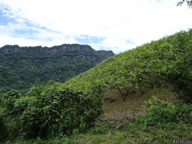 親子旅遊-鹿場部落