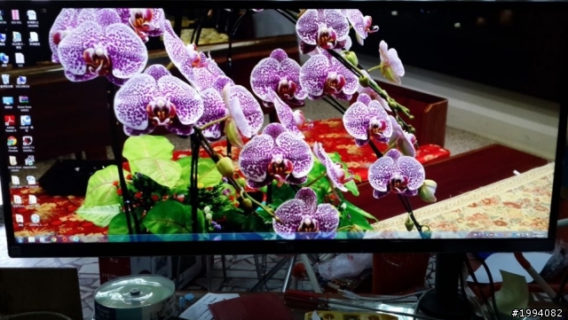 新視野2.6K LG 34UM95-P 不專業簡單開箱