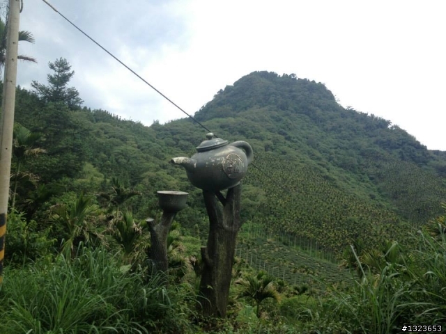 1030512 那瑪夏 青山 大埔環線 騎乘里數:185公里