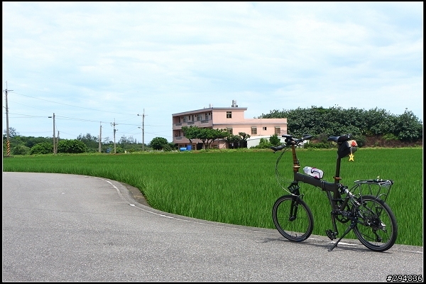 2014.05.18【單車遊記】三芝牧蜂農場‧探尋金色花海