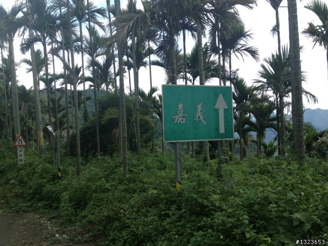1030512 那瑪夏 青山 大埔環線 騎乘里數:185公里