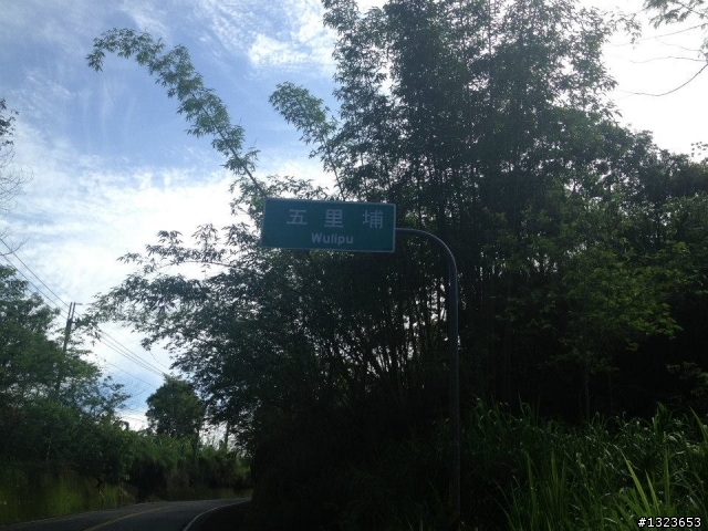 1030512 那瑪夏 青山 大埔環線 騎乘里數:185公里