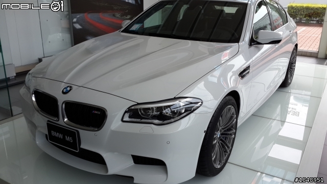 古城賞車行~BMW 316i Sport Line及AUDI A4 Urban