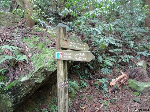 親子旅遊-鹿場部落