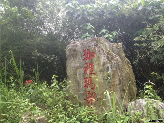 1030512 那瑪夏 青山 大埔環線 騎乘里數:185公里