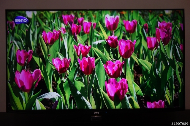BenQ 50RW6500「鮮明原色‧絢彩呈現」進入極窄邊框高畫質大視界!