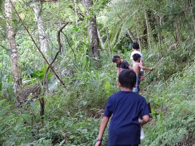 親子旅遊-鹿場部落