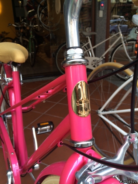 大稻埕單車店Gochic bicycle初體驗