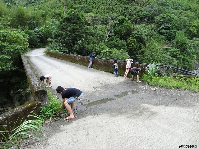親子旅遊-鹿湖部落產業道路