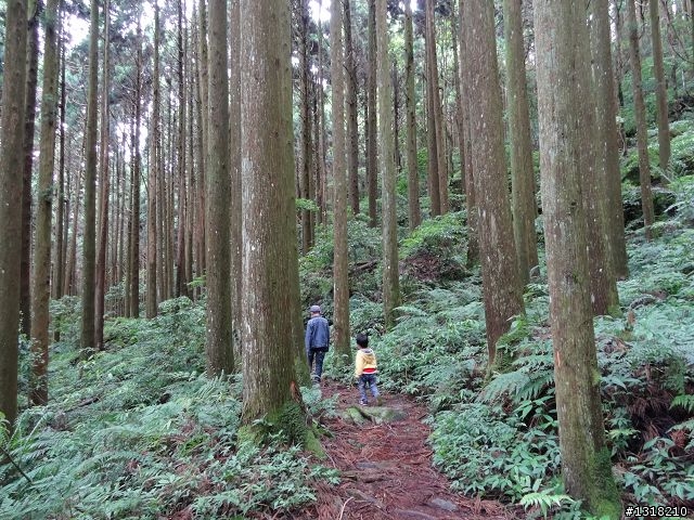 親子旅遊-鹿場部落