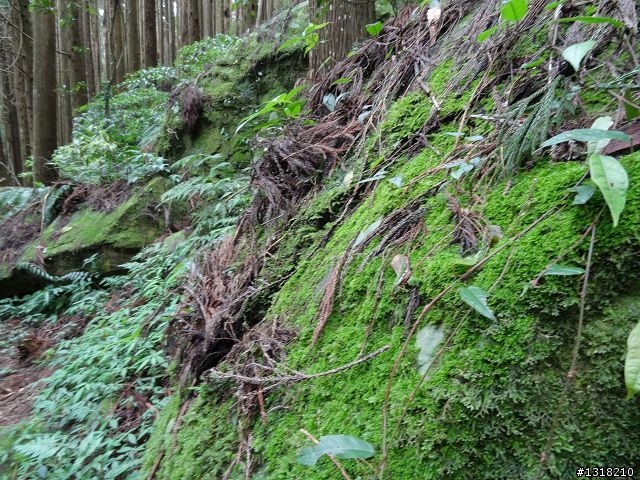 親子旅遊-鹿場部落