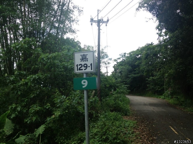 1030512 那瑪夏 青山 大埔環線 騎乘里數:185公里