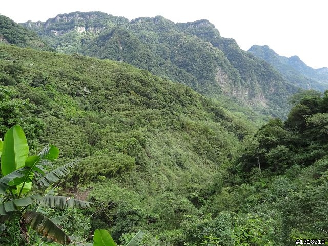 親子旅遊-鹿湖部落產業道路