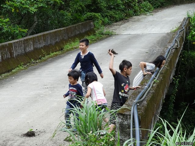 親子旅遊-鹿湖部落產業道路