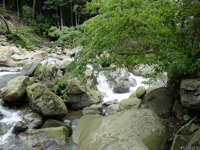 親子旅遊-鹿場部落