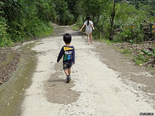 親子旅遊-鹿湖部落產業道路