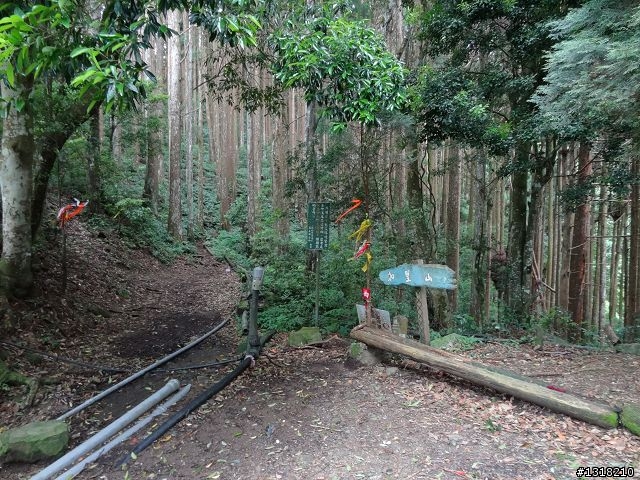 親子旅遊-鹿場部落