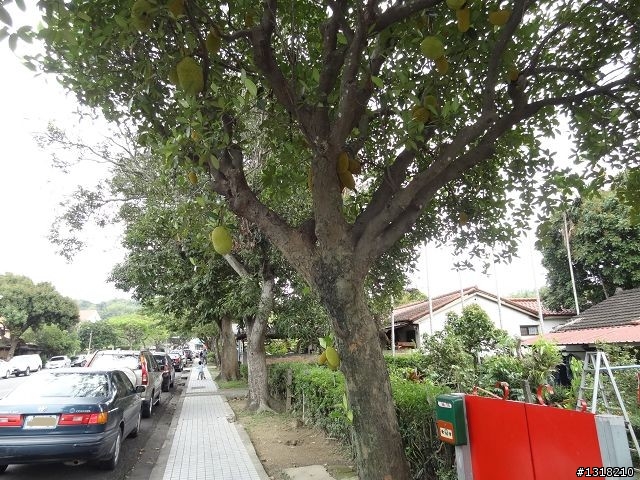 親子旅遊-中興新村